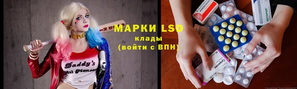 хмурый Лагань