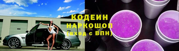 хмурый Лагань