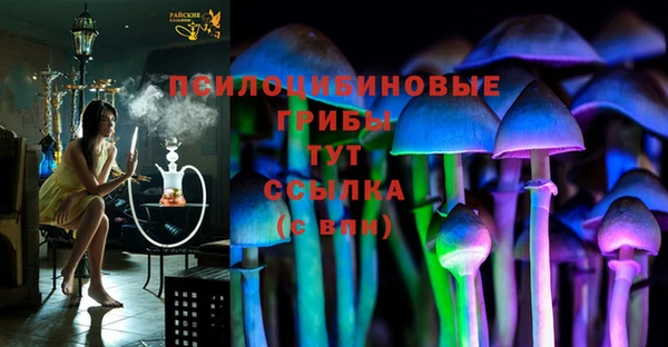 jwh Ладушкин