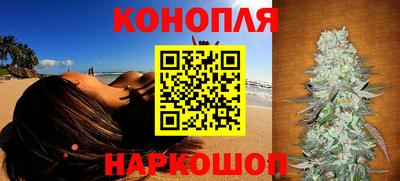 индика Волгодонск
