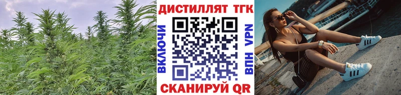 ТГК концентрат  где можно купить   мега сайт  маркетплейс состав  Людиново 