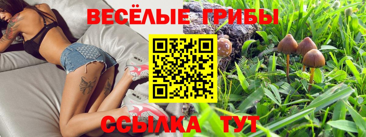дарнет шоп  Галлюциногенные грибы Psilocybe  Псилоцибиновые грибы мицелий  Вход с VPN  Людиново 